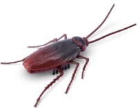 Робот Zuru Roboalive Cockroach (7152)