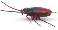 Robot Zuru Roboalive Cockroach (7152)