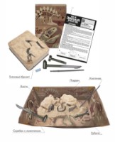Set de cercetare pentru copii 4M Dig A Dinosaur Skeleton Velociraptor (00-13234) imaginea #5 — magazin online Desire.md