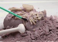 Set de cercetare pentru copii 4M Dinosaur Tyrannosaurus Rex (00-03221) imaginea #4 — magazin online Desire.md