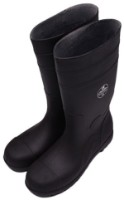 Сапоги резиновые Harden 780939 фото №1 — интернет-магазин Desire.md