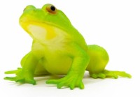 Figurină animală Icom Poland Лягушка (7174636)