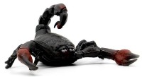 Figurină animală Icom Poland Скорпион (7174641) imaginea #2 — magazin online Desire.md