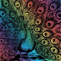 Граттаж Sequin Art Rainbow Peacock (SQ0543)