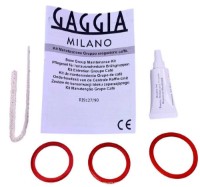 Kit de service pentru aparatele de cafea Gaggia RI9127/90