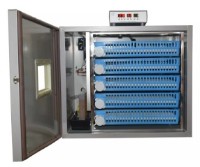 Incubator Demetra DM-320