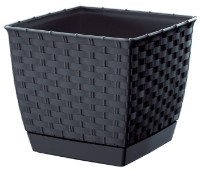 Ghiveci Prosperplast Ratolla Square DRLK250-S433