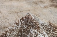 Ковёр Made in Turkey Aspendos Beige (FT78A) 1.60x2.30m фото №2 — интернет-магазин Desire.md