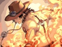 Tablou pe numere PRC Pumn de Foc 30x40cm 02072