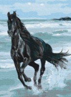Картина по номерам Brushme Чёрная лошадь (BS29330)