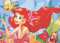 Tablou pe numere PRC Ariel 30x40cm 02362