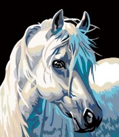 Tablou pe numere PRC Calul Alb 40x50cm 03093