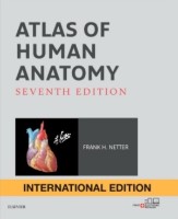 Книга Atlas of Human Anatomy, 7th Edition (9780323393218)