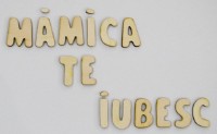 Joc educativ Edujoc Letters Set (165) imaginea #2 — magazin online Desire.md