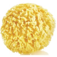 Губка детская BabyJem Sea Sponge (163)