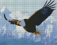 Алмазная картина по номерам Strateg Горный орел (FA40090)