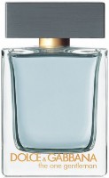 Parfum pentru el Dolce & Gabbana The One Gentleman EDT 100ml