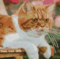 Алмазная картина по номерам Strateg Серьезный рыжий кот (CA-0036)