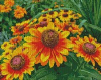 Алмазная картина по номерам Strateg Яркие цветы (FA40049)