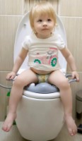 Детское сиденье для унитаза BabyJem Grey (064) фото №3 — интернет-магазин Desire.md