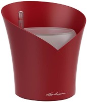 Ghiveci Lechuza Orchidea Scarlet Red