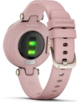 Smartwatch Garmin Lily (010-02384-13)