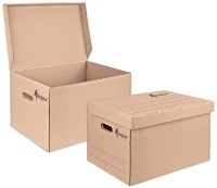 Cutie de arhivare Forpus FO23134