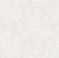 Обои Victoria Stenova 283972 Venezia Extra
