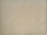 Обои Fipar R23303 Felicita