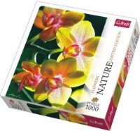 Puzzle Trefl 1000 Orchidea (10503)
