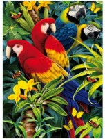Пазл Clementoni 3000 Puzzle 3D Majestic Macaws (1000) (39188)