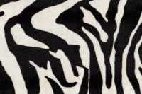 Бинбэг Because Royal Zebra XL