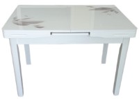 Masă pentru bucătărie M-Decor T1920 Alb cu flori