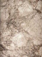 Ковёр CarpetLux Cappuccino 16139/11 2.00x5.00m
