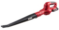Suflantă de frunze Raider RDP-SBL20
