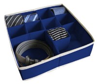 Organizator pentru depozitare Ordinett 30.5x30.5x10cm (51579)