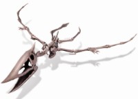 Set de cercetare pentru copii 4M 00-03459 imaginea #4 — magazin online Desire.md