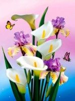Pictura cu diamante după numere ChiToys BHF101346 imaginea #1 — magazin online Desire.md