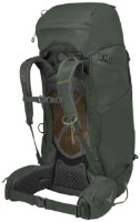 Рюкзак Osprey Kestrel 68L L/XL Bonsai Green фото №3 — интернет-магазин Desire.md