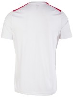 Мужская футболка Joma 103081.206 White/Red M фото №2 — интернет-магазин Desire.md