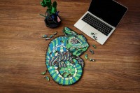 Puzzle Ewa Toys 80 Chameleon S imaginea #3 — magazin online Desire.md
