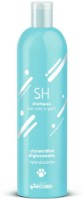 Sampon Record Igienizzante Clorexidina Digluconato 250ml (7036.1) imaginea #1 — magazin online Desire.md