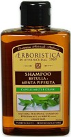 Шампунь для волос L'Erboristica Birch & Mint Shampoo 300ml