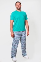 Мужская пижама Ajoure T78012 Green/Print Stripes 2XL