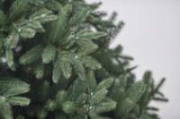 Brad artificial Divi Trees Collection Nordman Led 1.8m imaginea #2 — magazin online Desire.md