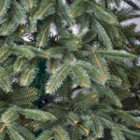 Brad artificial Divi Trees Collection Elite Premium Silicon 1m imaginea #3 — magazin online Desire.md