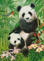 Puzzle Castorland 300 Panda Brunch (B-030507) imaginea #1 — magazin online Desire.md