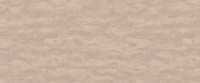 Обои Victoria Stenova 989558 Amazonia