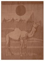 Plapumă Ярослав Lână de cămilă 170x205