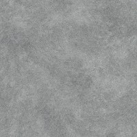 Обои Rasch 588361 Metal Spirit
